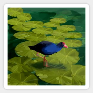 Marriott Park Water Hen Sticker